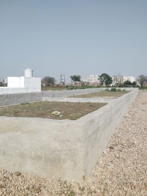 Plot Area in  Plot at Sector 115 – for Sale
