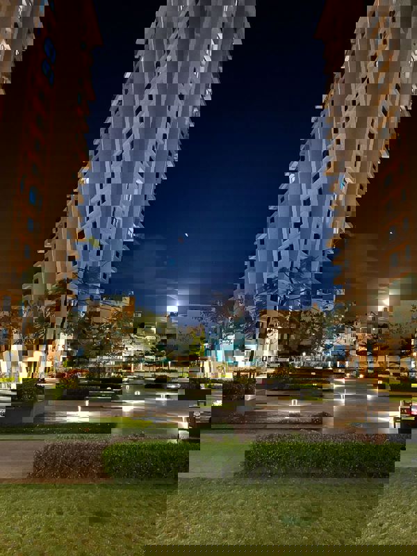 3 BHK 1560 Sq.Ft. Apartment in Sobha Palm Courts