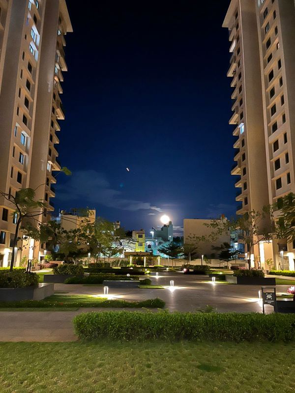 3 BHK Apartment For Rent in Sobha Palm Courts