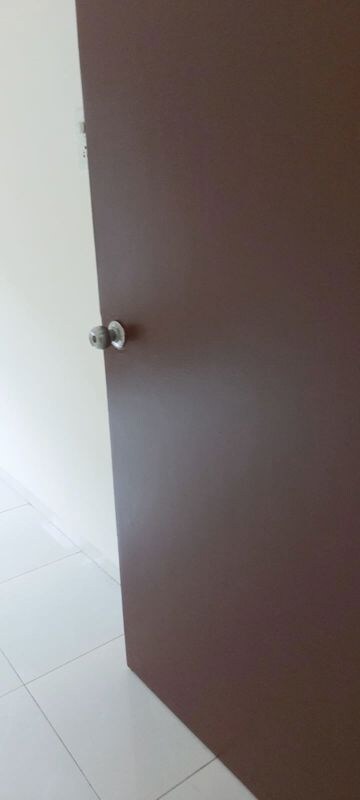 2 BHK Apartment For Rent in Aditya Green Zone, Baner