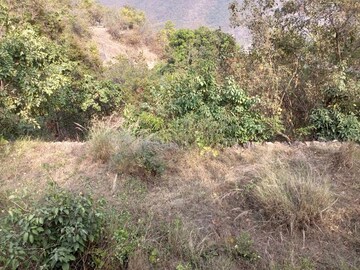 Plot Area in  Plot at Shyampur  – for Sale