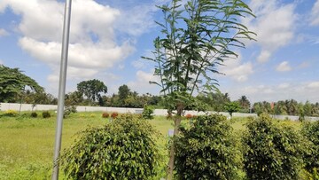  Plot – Garden View at Ivc Road - for Sale