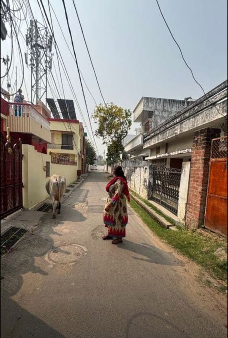 Exterior View, indira nagar 4 Bedroom 2600 Sq.Ft. Independent House In Indira Nagar Lucknow 10109481