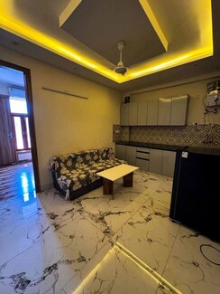 1 BHK Apartment For Rent in Saket