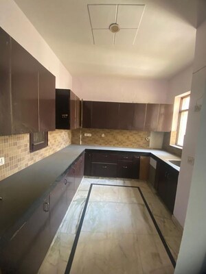 Kitchen in 3 BHK Builder Floor at Sector 9a – for Rent