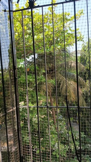 Balcony in 1 BHK Apartment at Dharma Nagar CHS, Borivali West – for Sale