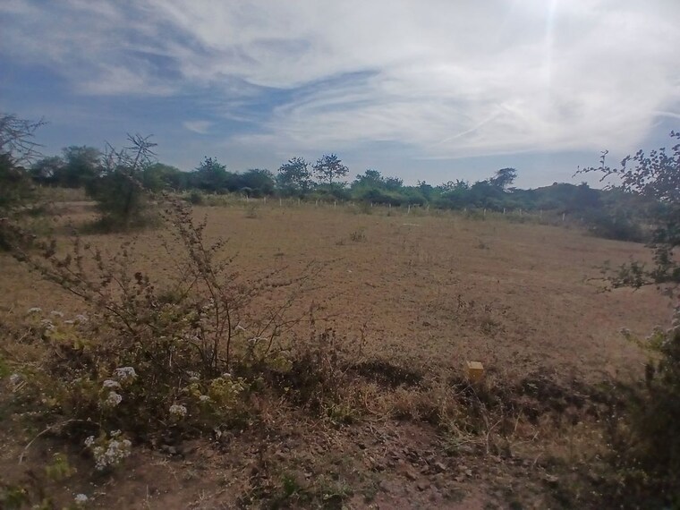 undefined, peth road Commercial Industrial Plot 315 Sq.Yd. In Peth Road Nashik 10109605