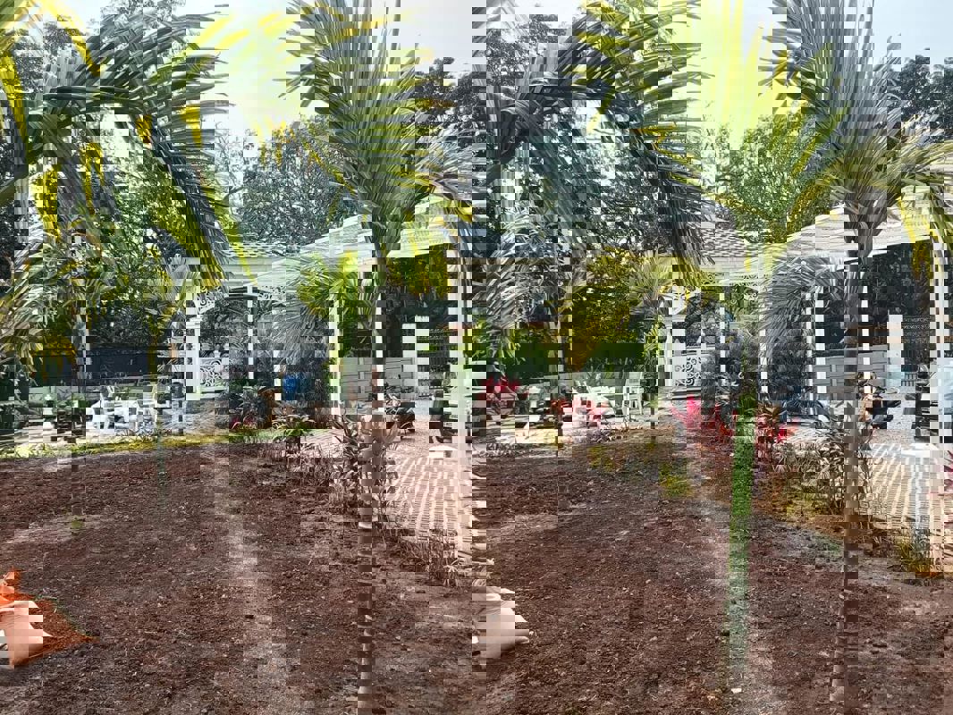 Plot For Sale in Shankarpalli