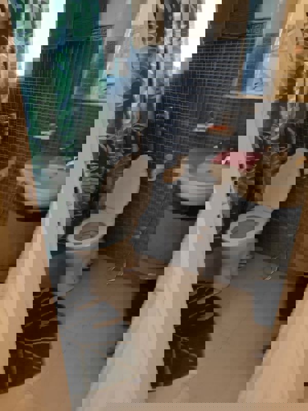 1 BHK + Pooja Room 610 Sq.Ft. Apartment in Eden Park