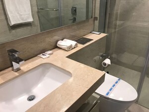 Bathroom in 2 BHK Apartment at Castle Rock, Powai – for Rent