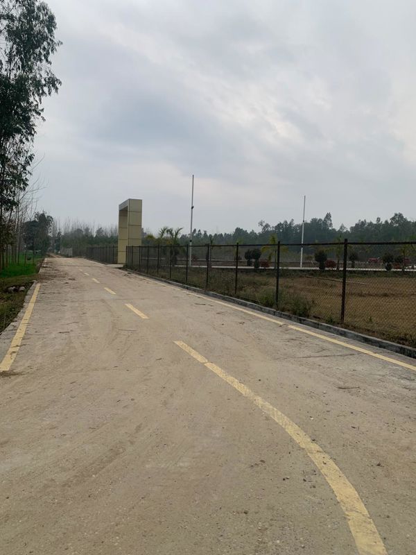 Plot For Sale in Mohabbewala