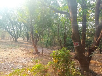  Plot – Garden View at Koproli - for Sale