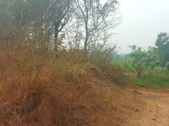 Plot For Sale in Koproli