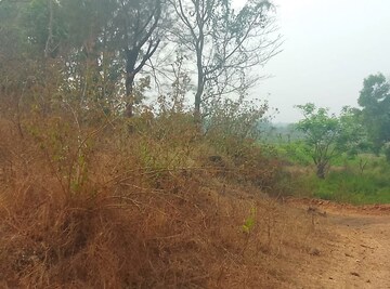  Plot For Sale in Koproli