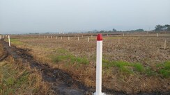 Plot For Sale in Maruti Kunj