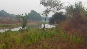 Plot Area in  Plot at Karjat – for Sale