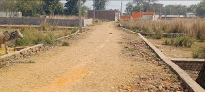 Plot Area in  Plot at Umaraha – for Sale