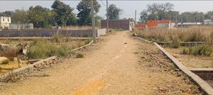 Plot Area in  Plot at Umaraha – for Sale