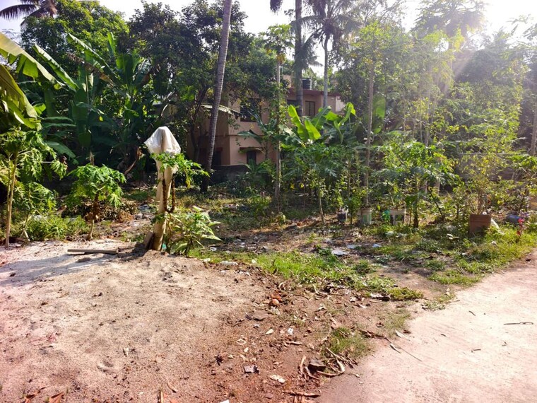 undefined, pattom  2616 Sq.Ft. Plot In Pattom Thiruvananthapuram 10110050