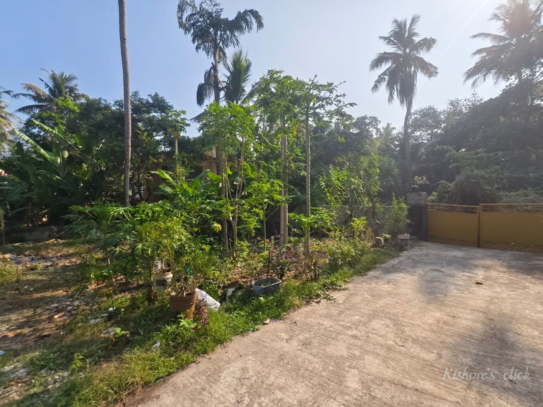 Plot For Sale in Pattom
