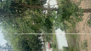   Plot at Tadepalli – for Sale