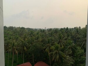 Plot Area in 2 BHK Apartment at Pangappara – for Sale