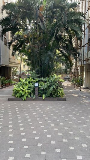 2 BHK Apartment – Garden View at Deepali CHS Bandra, Bandra West - for Rent