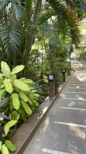 Balcony in 2 BHK Apartment at Deepali CHS Bandra, Bandra West – for Rent