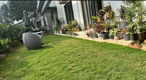  Plot For Sale in Ireo City IF, Sector 60