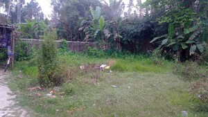  Plot For Sale in Rajpur
