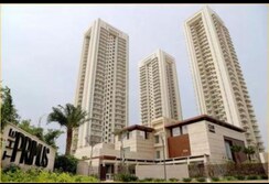 3 BHK + Pooja Room,Servant Room Apartment For Rent in DLF The Primus
