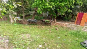 Plot For Sale in Rajpur Sonarpur