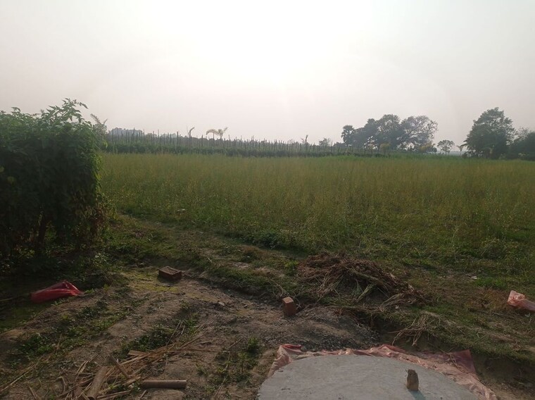 undefined, sonarpur  7195 Sq.Ft. Plot In Sonarpur Kolkata 10087584