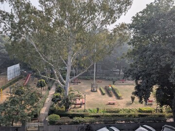 3 BHK Builder Floor – Garden View at New Rajinder Nagar - for Rent