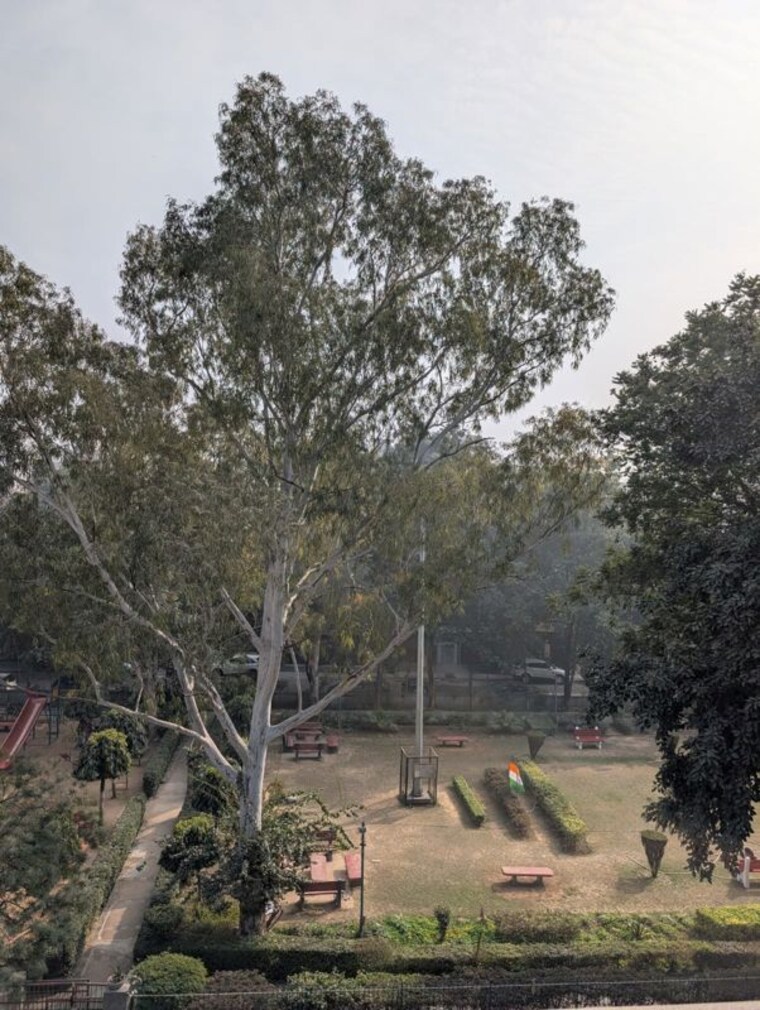 undefined, new rajinder nagar 3 Bedroom 1800 Sq.Ft. Builder Floor In New Rajinder Nagar Delhi 10110747