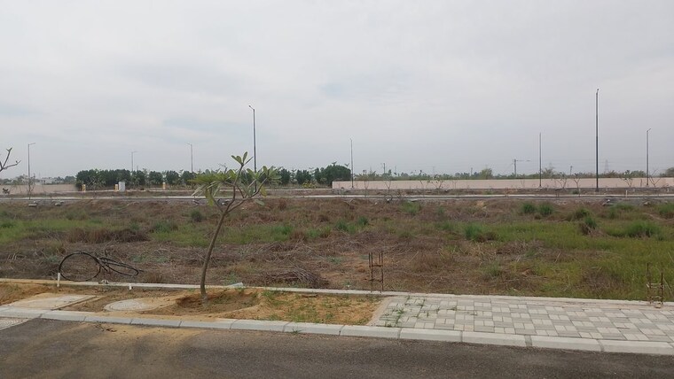 undefined, sector 13  137 Sq.Yd. Plot In Sector 13 Jhajjar 10110800