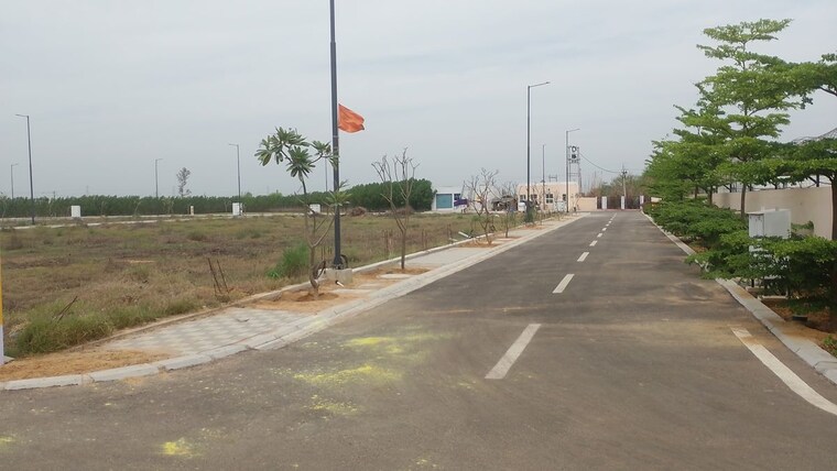 undefined, sector 13  137 Sq.Yd. Plot In Sector 13 Jhajjar 10110800