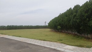  Plot For Sale in Sector 13