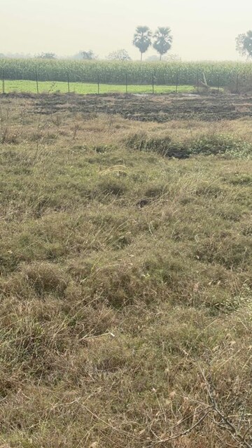 Plot Area in  Land at Vinukonda – for Sale