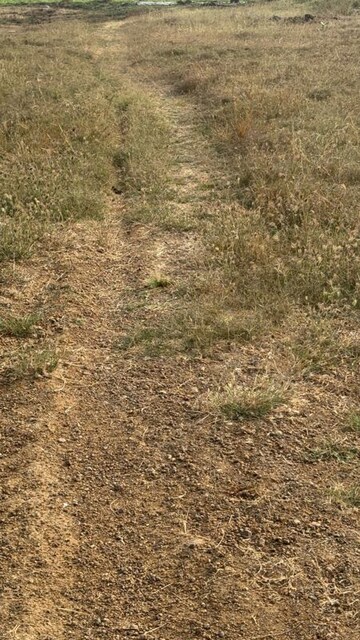 Plot Area in  Land at Vinukonda – for Sale