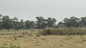  Land For Sale in Vinukonda