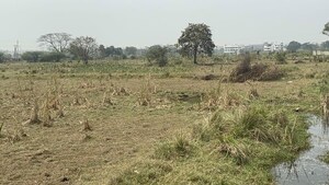 Plot Area in  Land at Vinukonda – for Sale