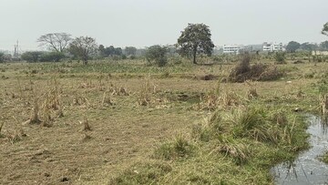 Plot Area in  Land at Vinukonda – for Sale