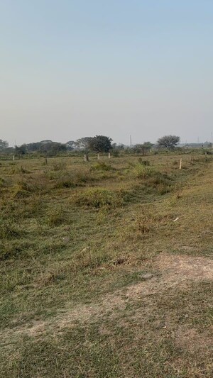 Plot Area in  Land at Vinukonda – for Sale