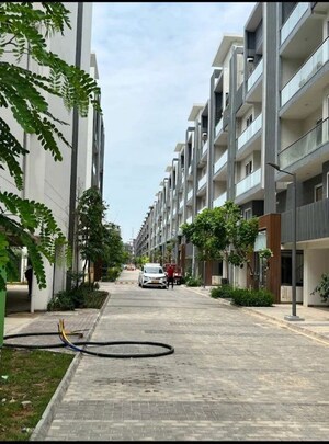 3.5 BHK Apartment For Rent in Smart World Gems, Sector 89