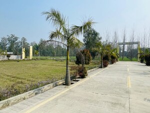 Plot Area in  Plot at Biharigarh – for Sale