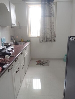 Kitchen in 2 BHK Apartment at DP Birds Ville, Baner – for Rent