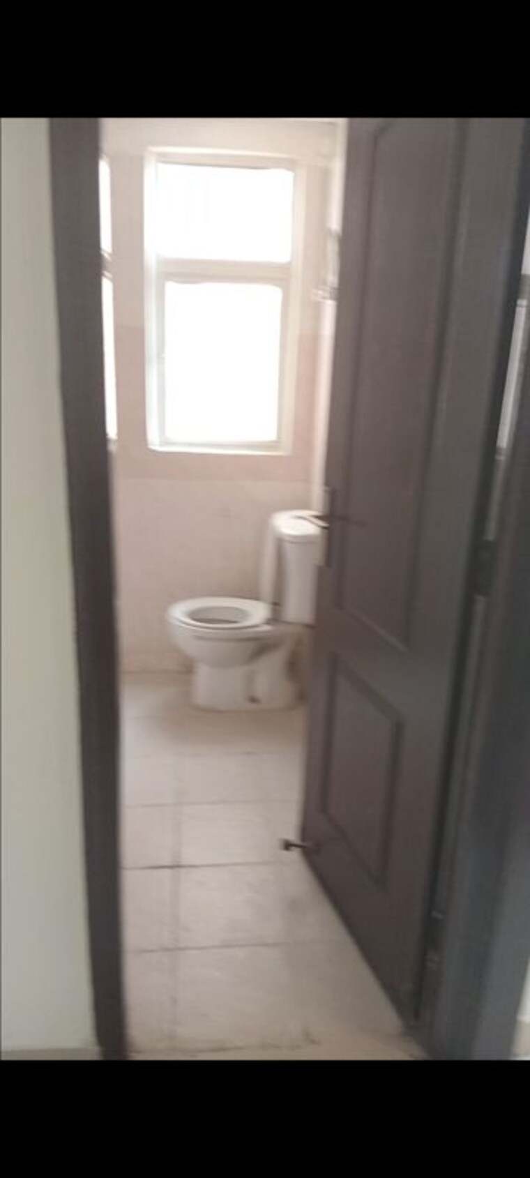 Bathroom, amrapali-princely-estate 2.5 Bedroom 1000 Sq.Ft. Apartment In Sector 76 Noida 10112823