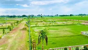  Plot For Sale in Gosainganj