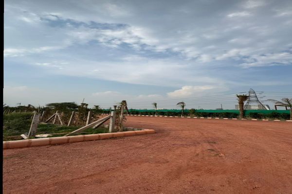 Plot For Sale in Hardhyanpura